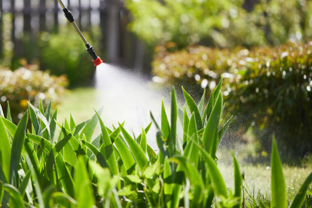 Tamper-Resistant Bait Stations for Rodents in Grundy