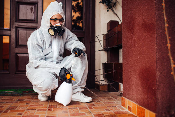 Attic and Crawl Space Rodent Treatment in Grundy