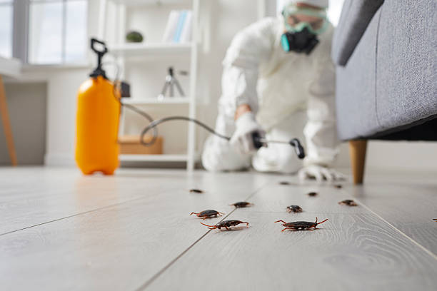 Commercial Rodent Management in Grundy